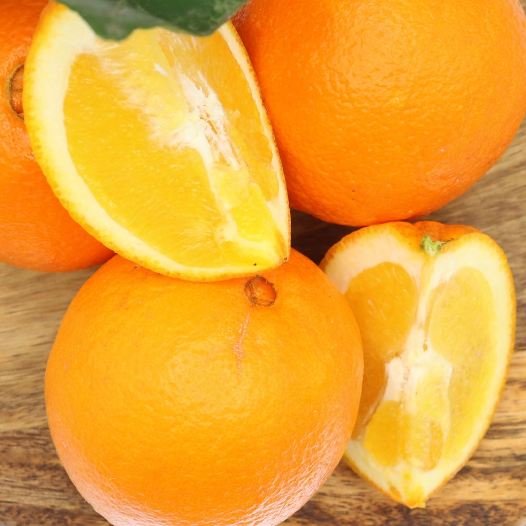 ALGARVE ORANGES 10 KG + 10% FREE