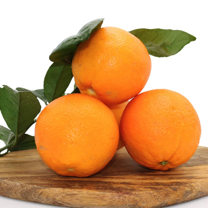 ALGARVE ORANGES 10 KG + 10% FREE