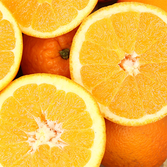 ALGARVE ORANGES 10 KG + 10% FREE